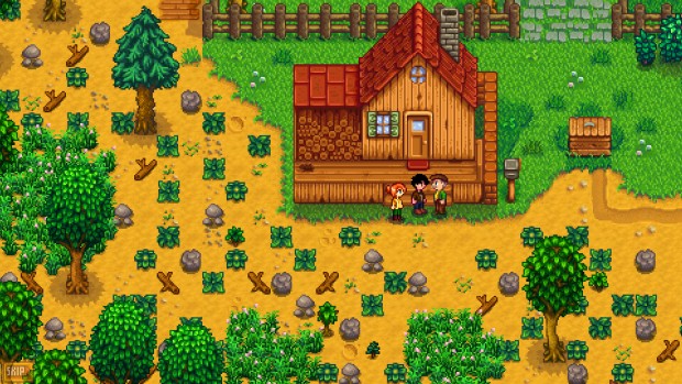 Stardew Valley's initial farm is a bit of a mess