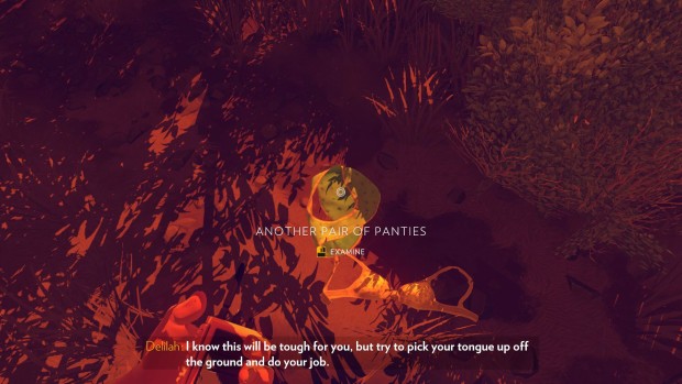 Firewatch is a very humorous gam