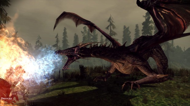 Dragon Age: Origins' screenshot featuring a dragon