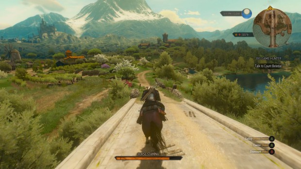 The Witcher 3 has some gorgeous graphics