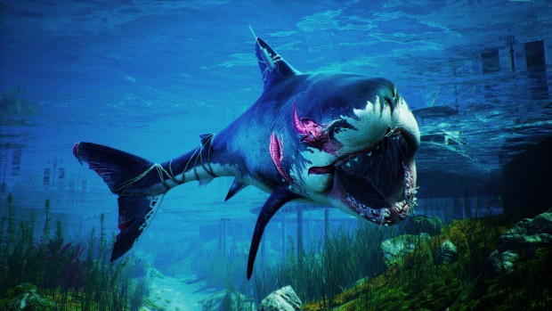 Close up screenshot of the shark from the Maneater game