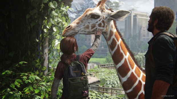 The Last of Us Part 1 screenshot of Ellie petting a giraffe